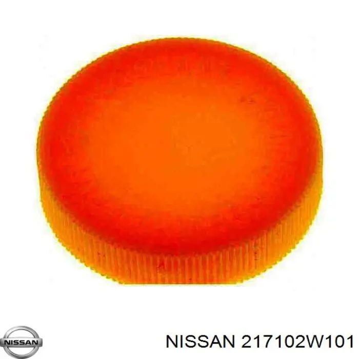 Tanque de expansão do sistema de esfriamento Nissan Pathfinder  R50