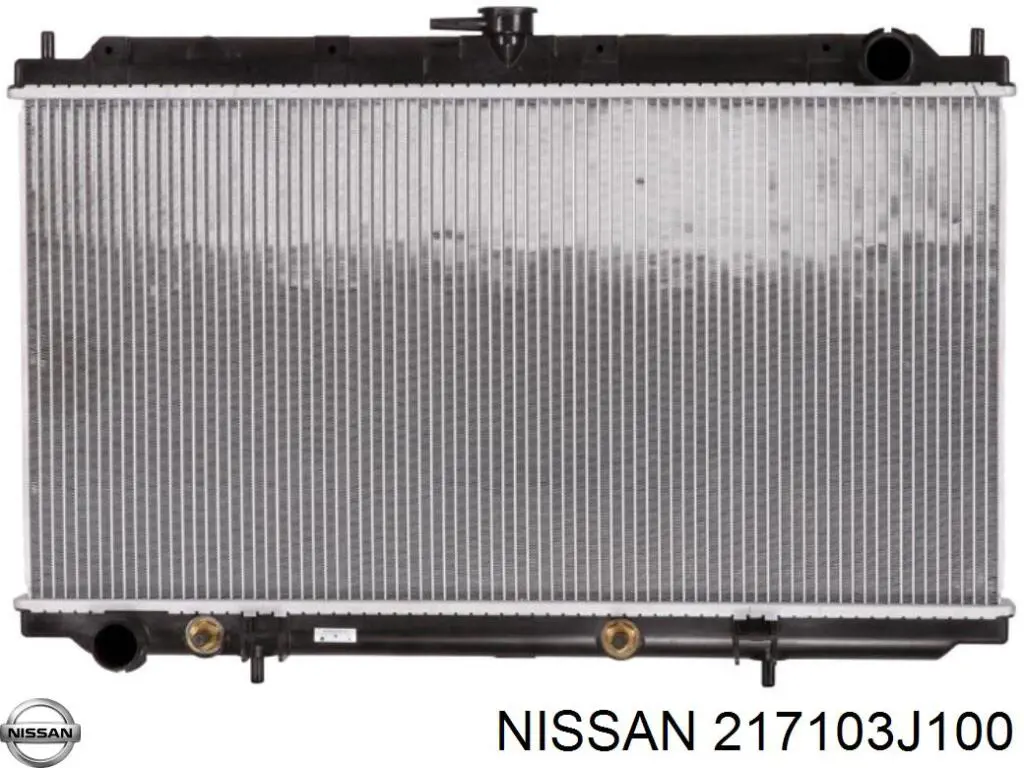 Compre 217102F000 Nissan/Infiniti Tanque de expansão do sistema de esfriamento