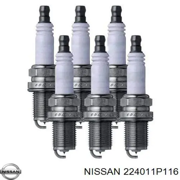 224011P116 Nissan/Infiniti Vela de ignição