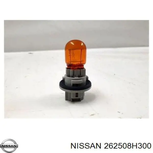 262508H300 Nissan/Infiniti 