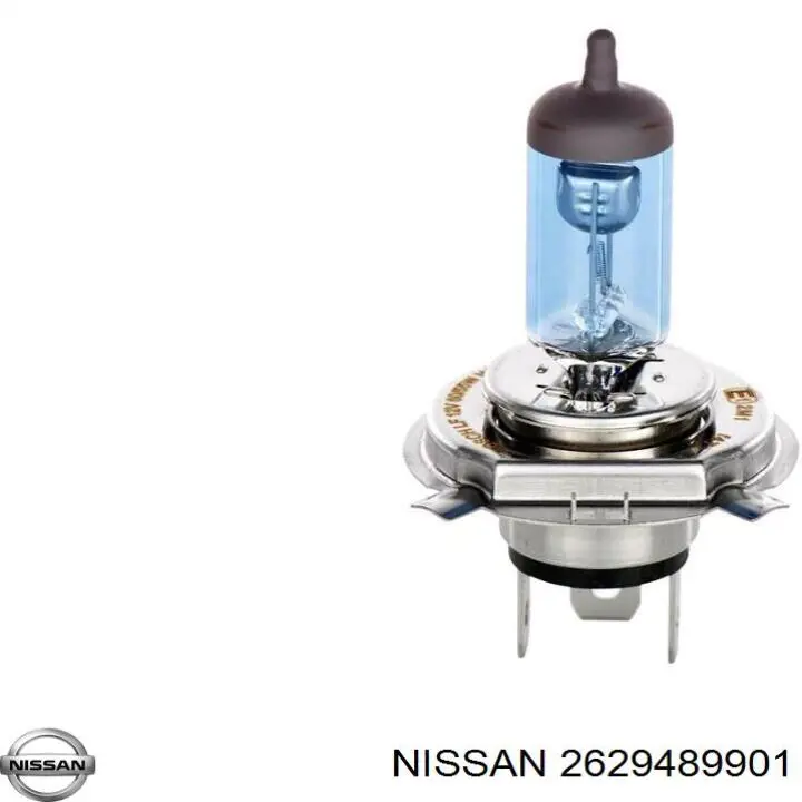 2629489901 Nissan/Infiniti 