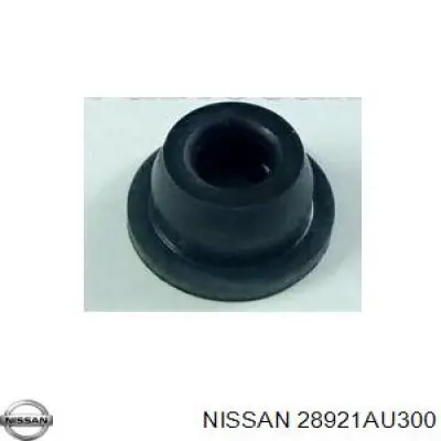 28921AU300 Nissan/Infiniti 