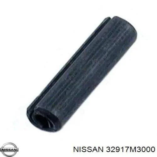 32917M3000 Nissan/Infiniti 