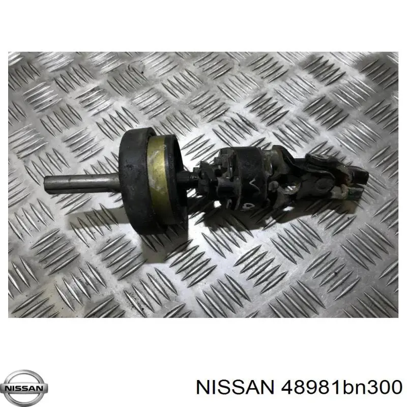 48981BN300 Nissan/Infiniti 