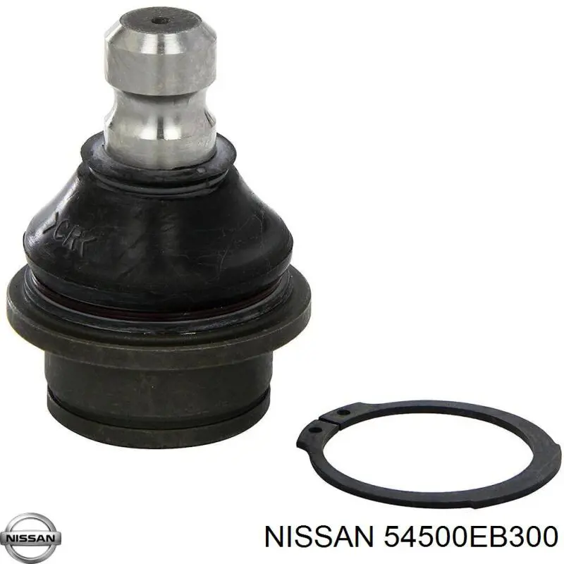 54500EB300 Nissan/Infiniti Braço oscilante inferior direito de suspensão dianteira