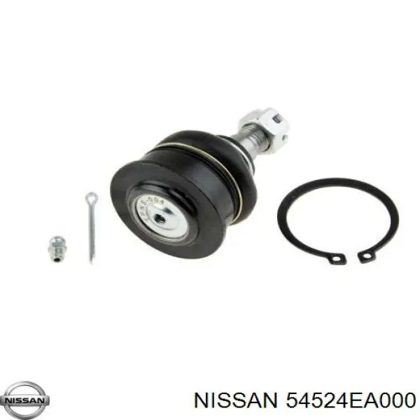 Braço oscilante superior direito de suspensão dianteira 54524EA000 Nissan/Infiniti