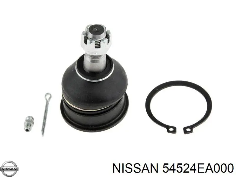 54524EA000 Nissan/Infiniti Braço oscilante superior direito de suspensão dianteira