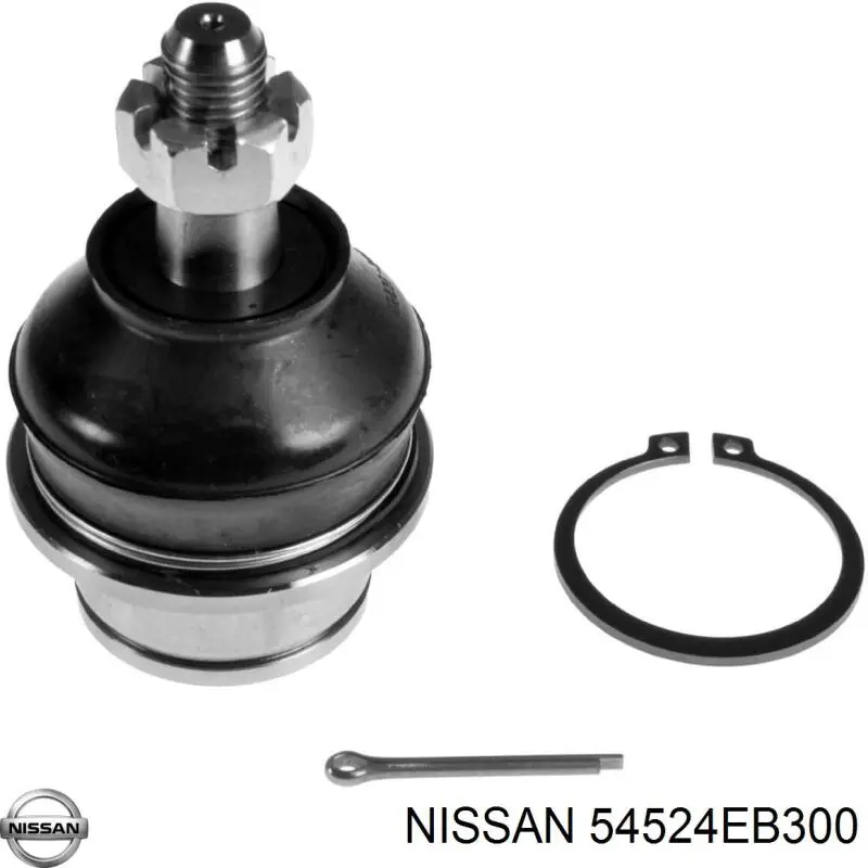 54524EB300 Nissan/Infiniti Braço oscilante superior direito de suspensão dianteira