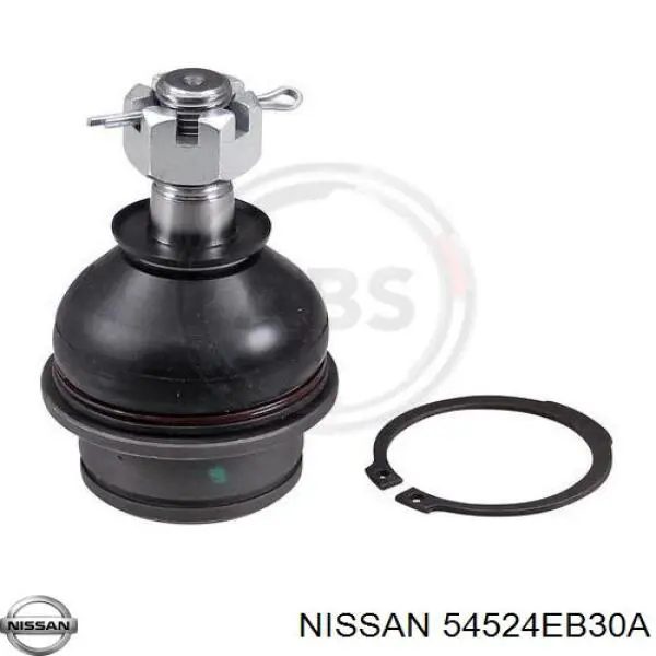54524EB30A Nissan/Infiniti Braço oscilante superior direito de suspensão dianteira