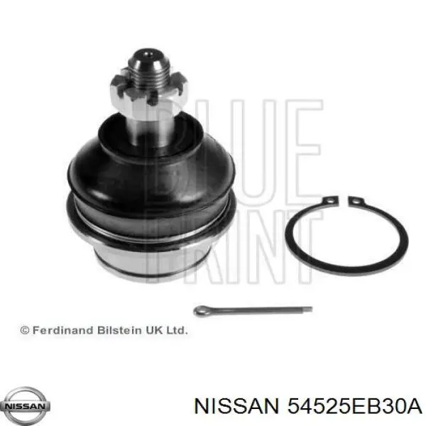 54525EB30A Nissan/Infiniti Braço oscilante superior esquerdo de suspensão dianteira