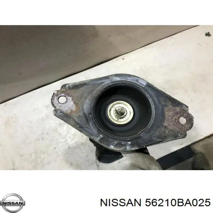Compre 56210BA025 Nissan/Infiniti Amortecedor traseiro
