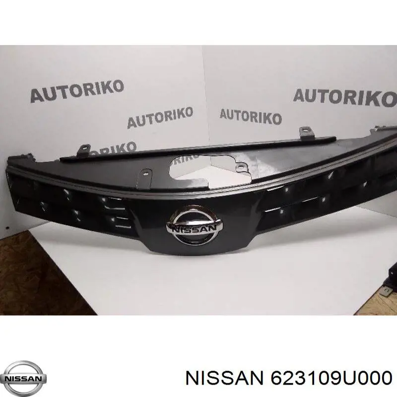 Compre FP5013990 FPS Grelha do radiador