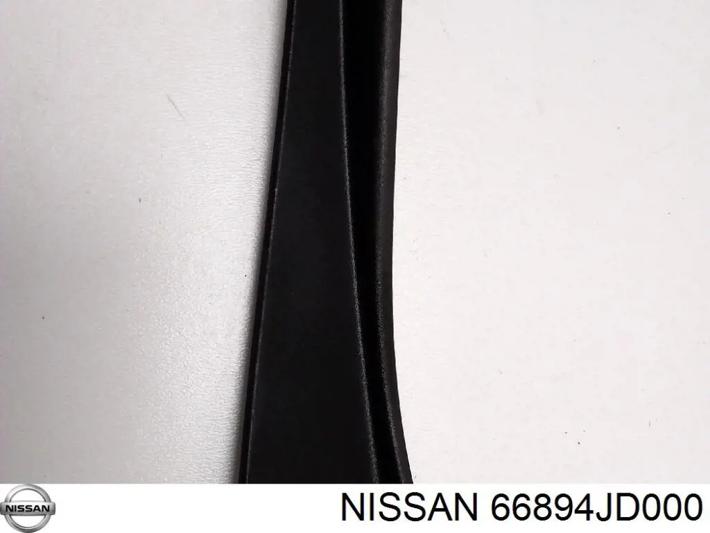 66894JD000 Nissan/Infiniti Placa sobreposta do pára-lama dianteiro direito