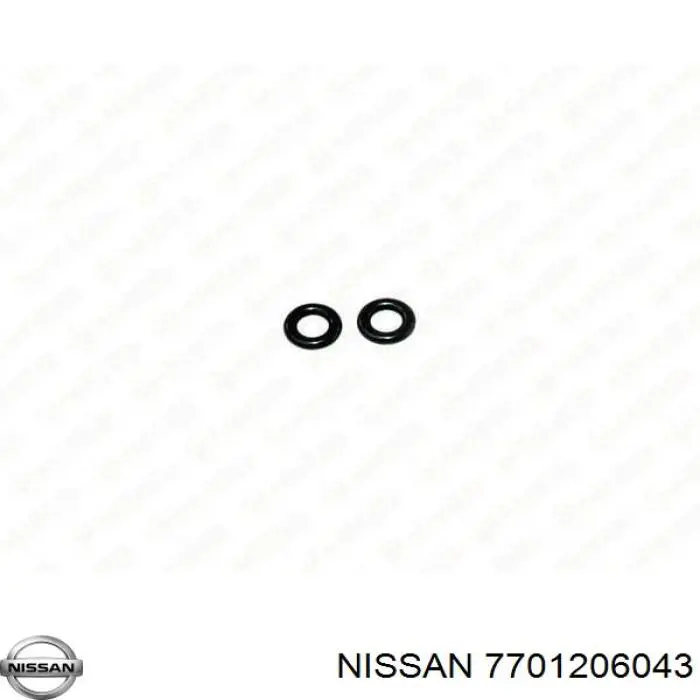 7701206043 Nissan/Infiniti Anel (arruela) do injetor de ajuste