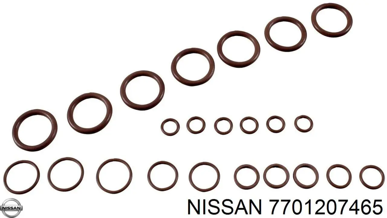 Kit de reparação do compressor de aparelho de ar condicionado 7701207465 Nissan/Infiniti