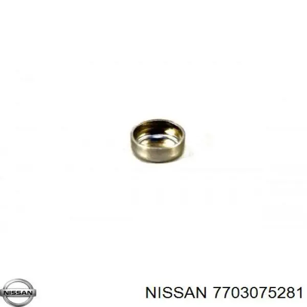 7703075281 Nissan/Infiniti Tampão CBC/do bloco de cilindros