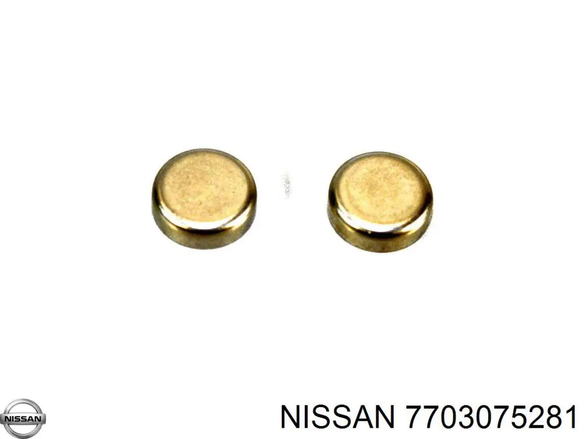 Tampão CBC/do bloco de cilindros Nissan/Infiniti 7703075281 preço, a partir de 3,32 USD