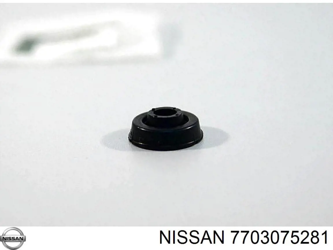 Compre 7703075281 Nissan/Infiniti Tampão CBC/do bloco de cilindros
