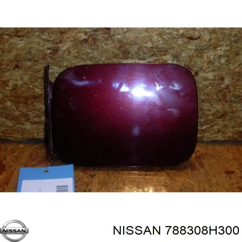 788308H300 Nissan/Infiniti Alcapão do tanque de combustível