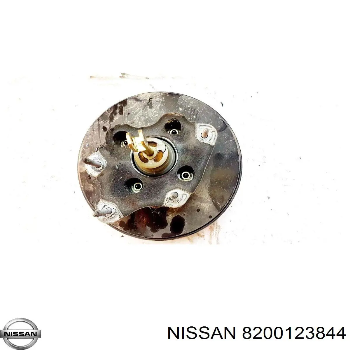 Compre 8200123844 Nissan/Infiniti 