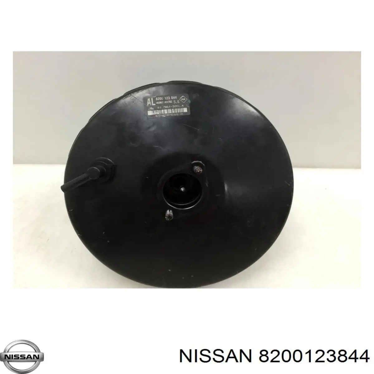  8200123844 Nissan/Infiniti