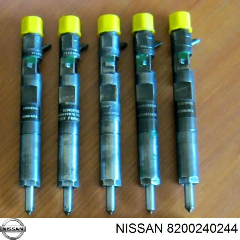 R02101Z Renault (RVI) Injetor de injeção de combustível
