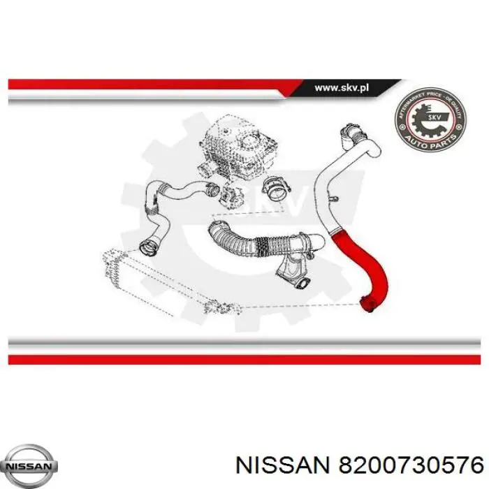 Compre DCR242TT Thermotec Mangueira (cano derivado) de intercooler