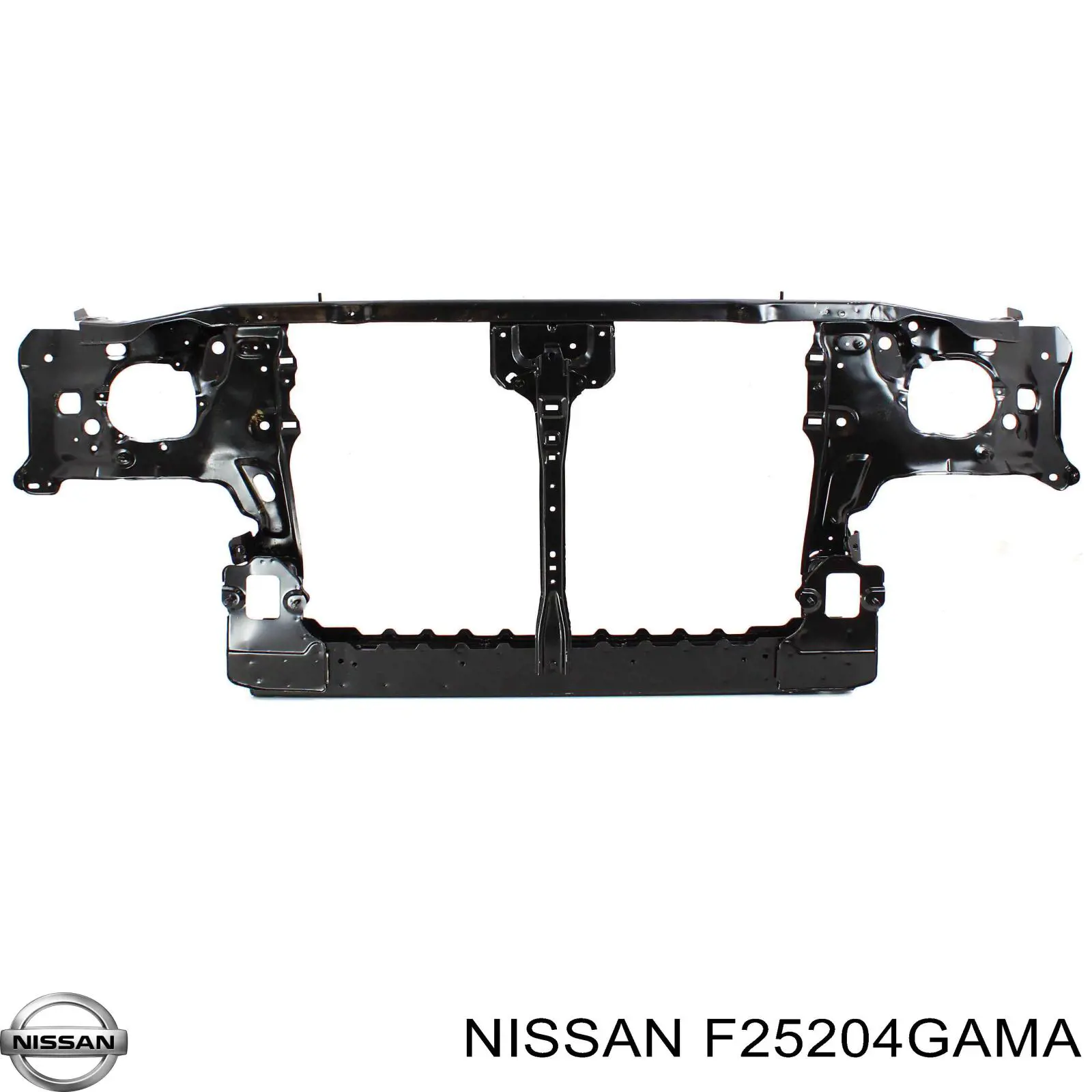 F25204GAMA Nissan/Infiniti 