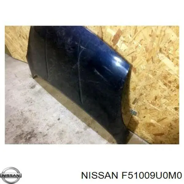 F51009U0M0 Nissan/Infiniti Capota