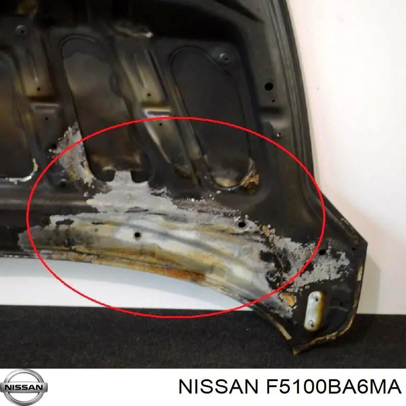 F5100BA6MA Nissan/Infiniti Capota