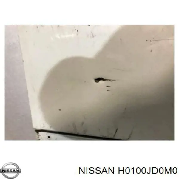 H0100JD0M0 Nissan/Infiniti Porta dianteira direita