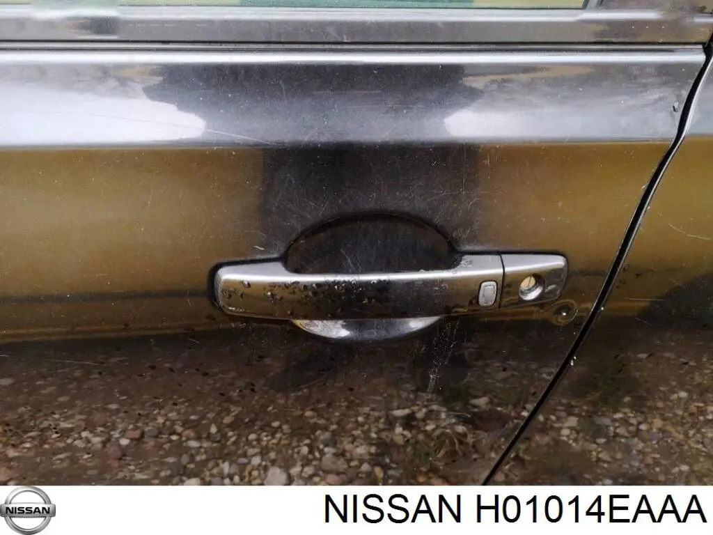 H01014EAAA Nissan/Infiniti Porta dianteira esquerda