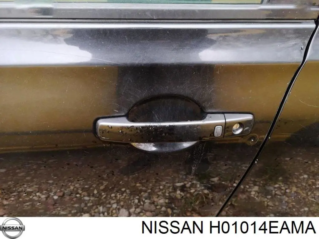Porta dianteira esquerda Nissan/Infiniti H01014EAMA preço, a partir de 814,75 USD