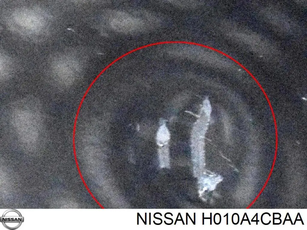 H010A4CBAA Nissan/Infiniti Porta dianteira esquerda