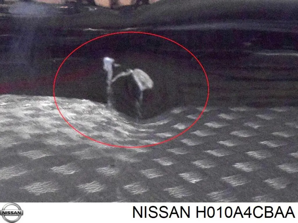 Compre H010A4CBAA Nissan/Infiniti Porta dianteira esquerda
