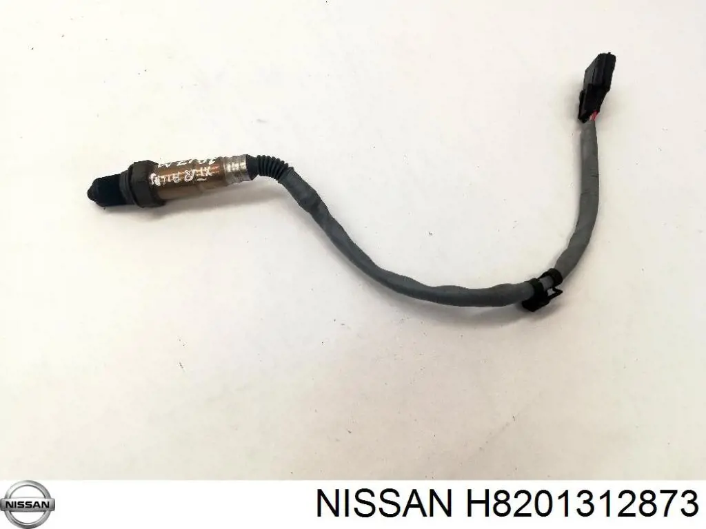  H8201312873 Nissan/Infiniti
