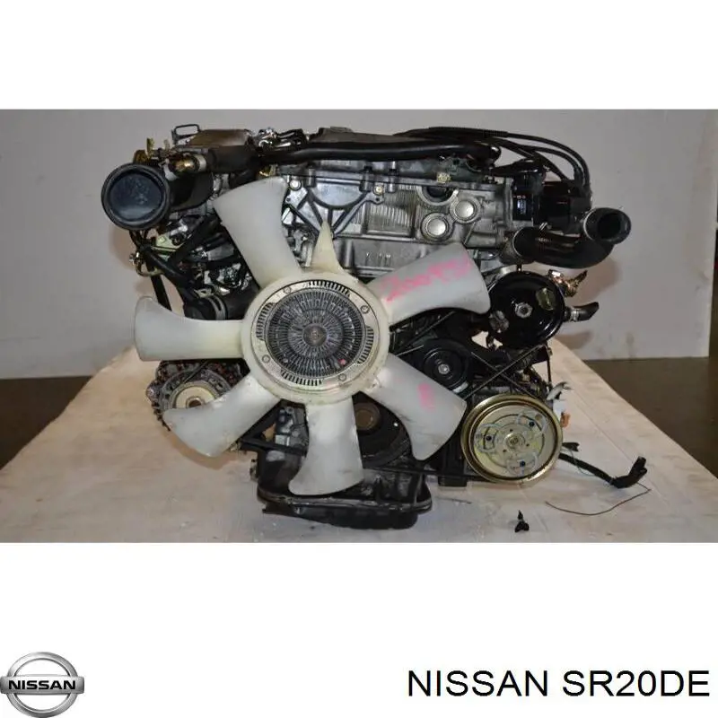 SR20DE Nissan/Infiniti Motor montado