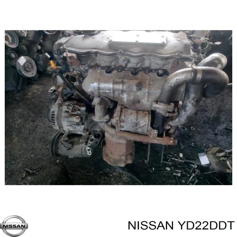 YD22DDT Nissan/Infiniti Motor montado