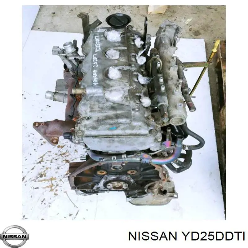 YD25DDTI Nissan/Infiniti Motor montado