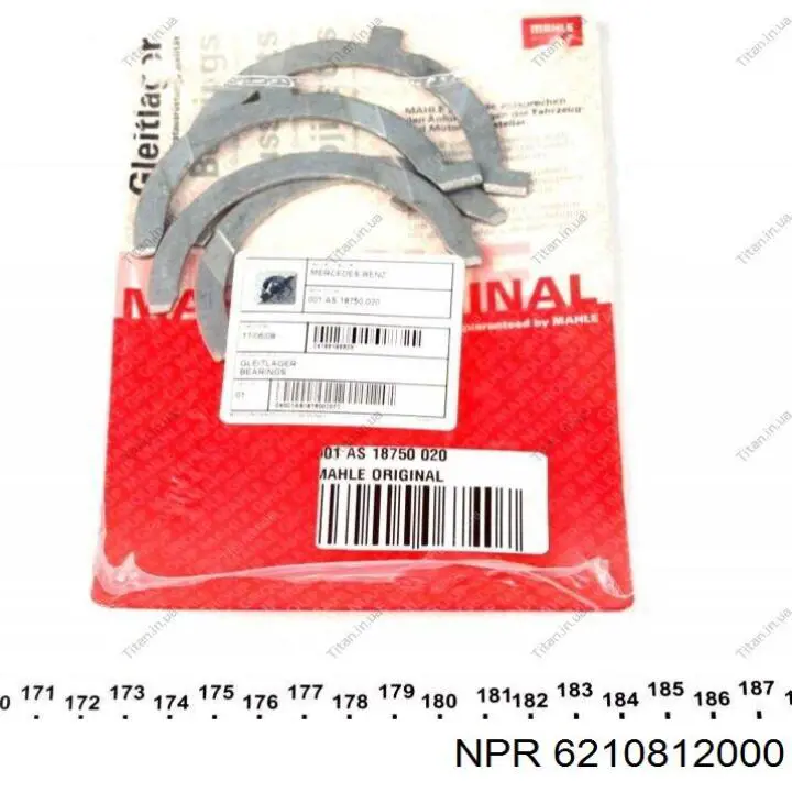 6010300262 Ssang Yong Semianel de suporte (de carreira) de cambota, 2ª reparação, kit