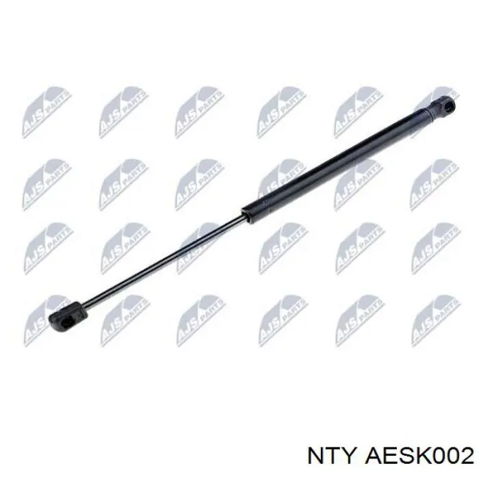 AESK002 NTY Amortecedor de tampa de porta-malas (de 3ª/5ª porta traseira)