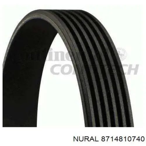 Pistão do kit para 1 cilindro, 2ª reparação ( + 0,50) Nural 8714810740 preço, a partir de 129,94 USD
