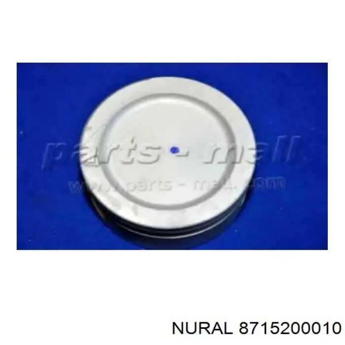 Pistão do kit para 1 cilindro, STD Nural 8715200010 preço, a partir de 63,89 USD