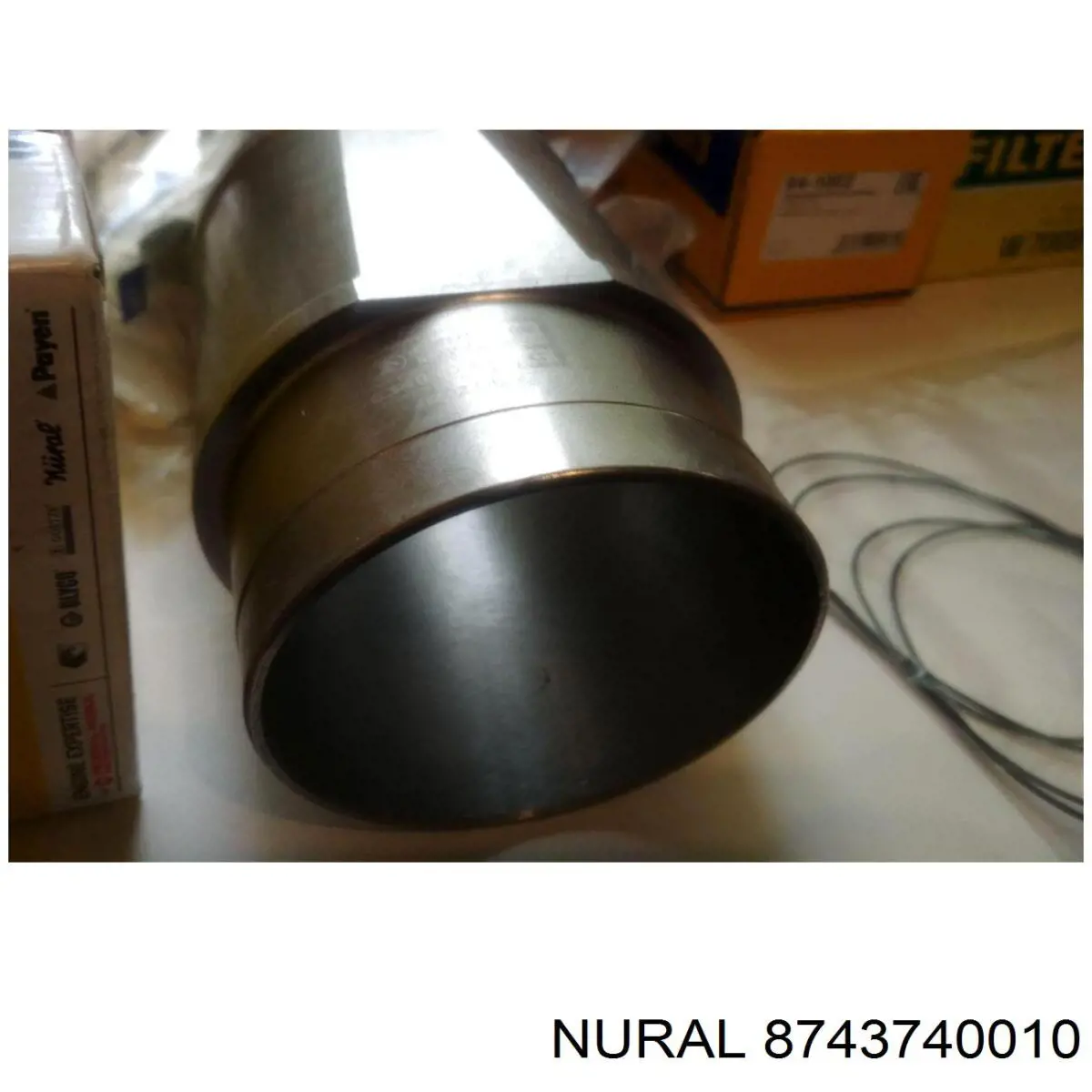Compre 55580179 General Motors Pistão do kit para 1 cilindro, STD