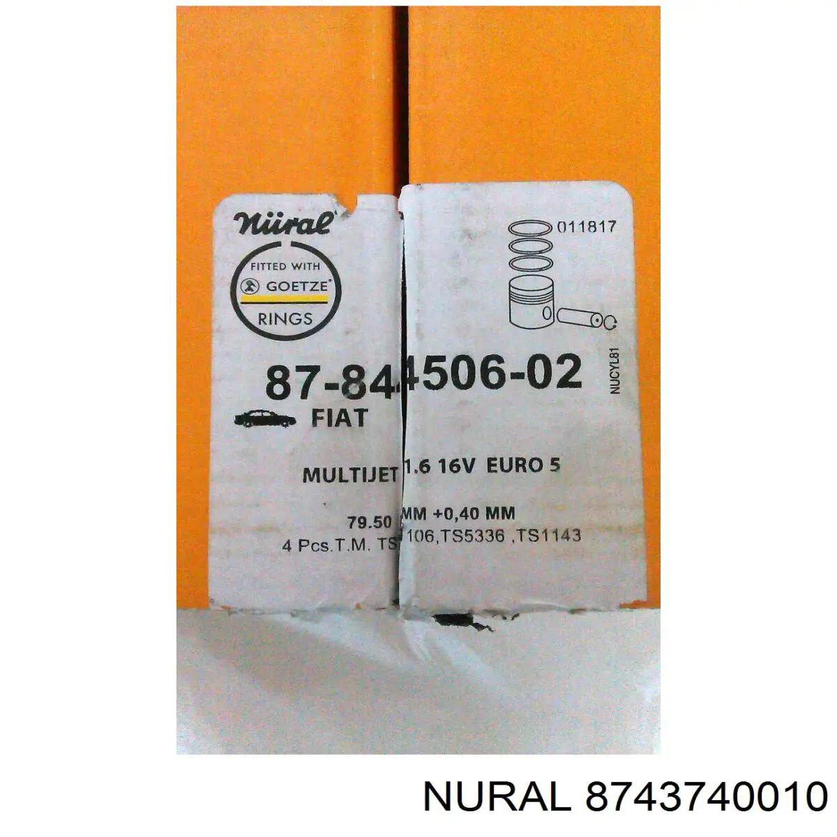 55580179 General Motors Pistão do kit para 1 cilindro, STD