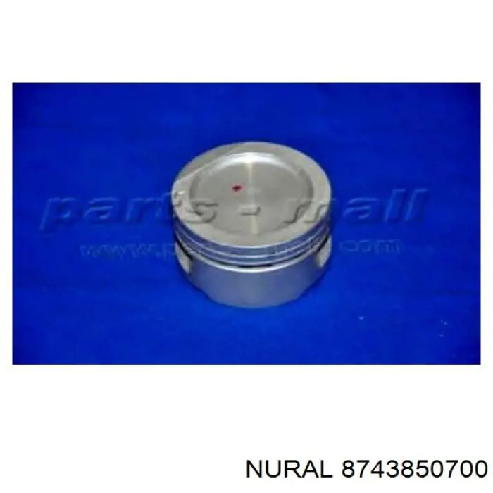8743850700 Nural Pistão do kit para 1 cilindro, 2ª reparação ( + 0,50)