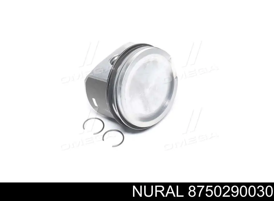 Compre 130050003900 NE/NPR Pistão do kit para 1 cilindro, STD