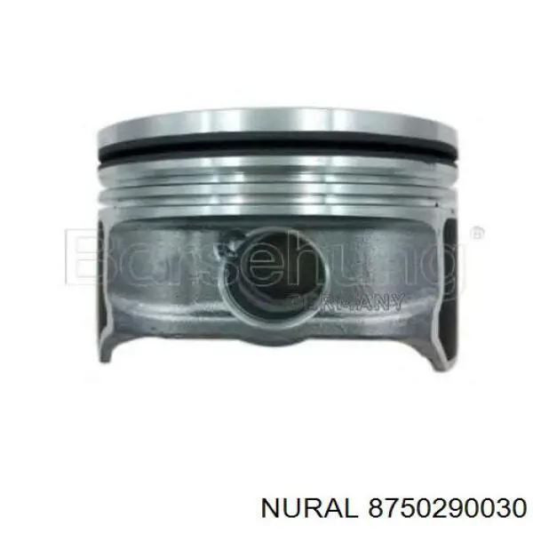 8750290030 Nural Pistão do kit para 1 cilindro, STD