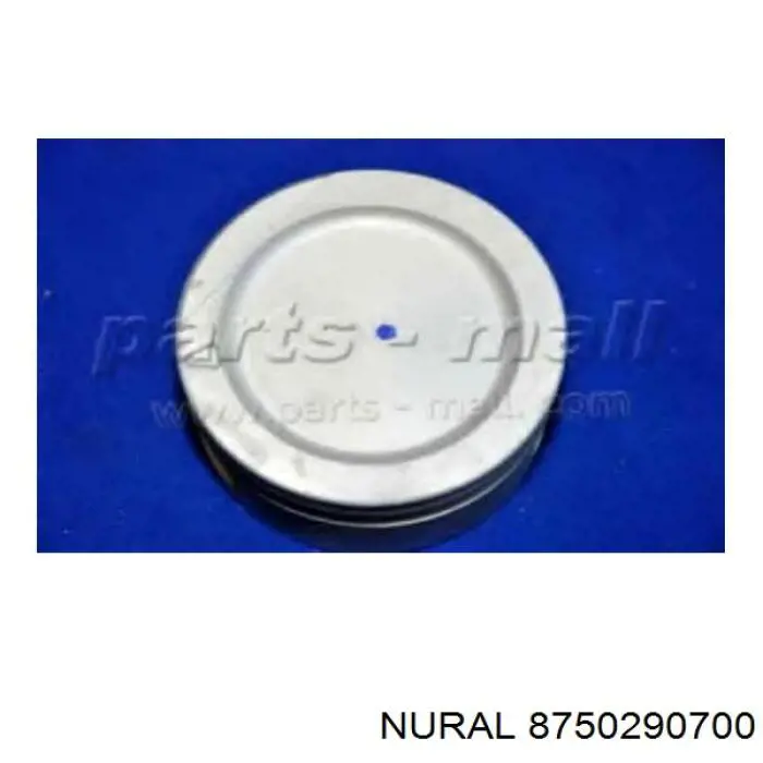 Pistão do kit para 1 cilindro, 2ª reparação ( + 0,50) Nural 8750290700 preço, a partir de 146,05 USD