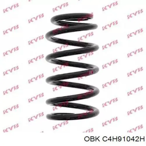 Compre C4H91042H OBK Mola traseira